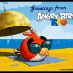 angrybirdsrio-580x435