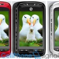 mtslide_540b
