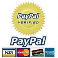 paypal-big