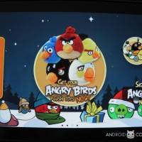 androidcommunity_angrybirds_seasons_expansion_04
