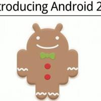 gingerbread00