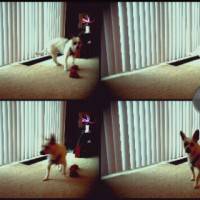 actionsnap1