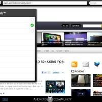 Opera Flash Options