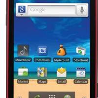 Cricket-r720-1