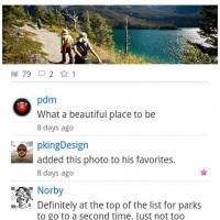 flickr comments