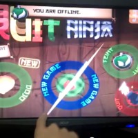 life sized ninja