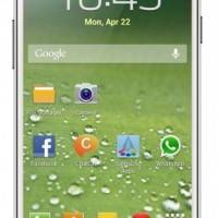 purported-galaxy-s-iv-312×540