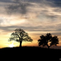 sunrise-xoom-540×337