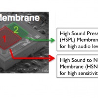 Dual-MembraneMics-copy