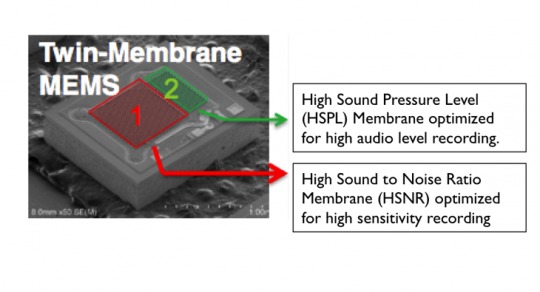 Dual-MembraneMics-copy