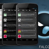 falcon-2-01-540×337