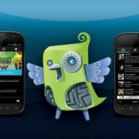 robird-540×263