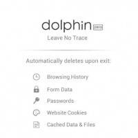 dolphin-zero-1