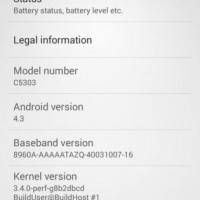 Screenshot_2014-02-12-04-46-29-315×559
