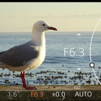 Sony updates PlayMemories Mobile app