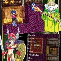 dq3 (3)