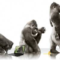 gorilla-glass-