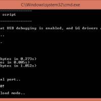 lg_root_script