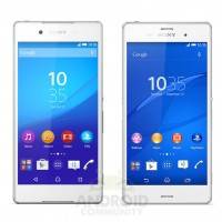 compare-z3-z4