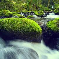 g4_images_2