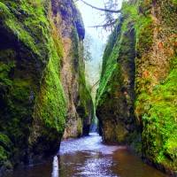 g4_images_3