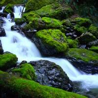 g4_images_8
