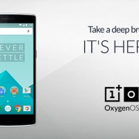oxygen-Blog