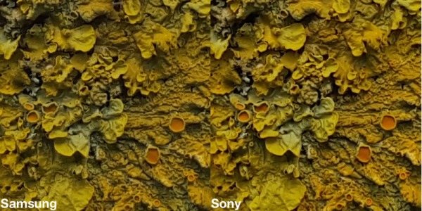 Samsung-vs.-Sony-02