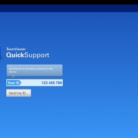 TeamViewer QuickSupport 1