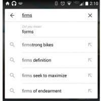 search results did you mean