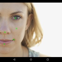 facedetect1