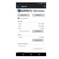 BlackBerry Services
