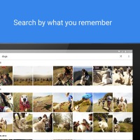 Google Photos cover 2