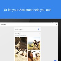 Google Photos cover 4