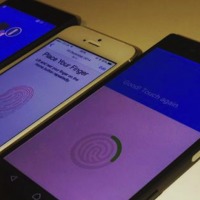 fingerprint authorization