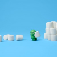 marshmallow