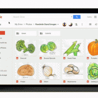 drive_search_update