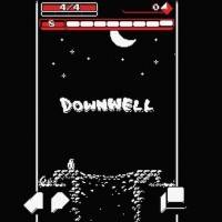 Downwell cover