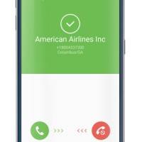 business-call-1-300×495