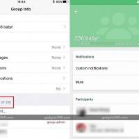 whatsapp_group_limit_increase_256_ndtv