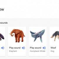 Google Search animanl sound