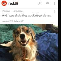 Reddit app for Android cover