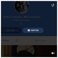 vine watch