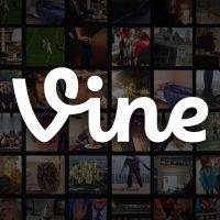 vine_banner_3 (1)