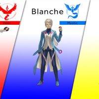 pokego_teamleads