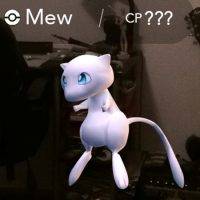 meqwhat