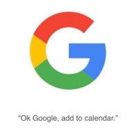 google-oct