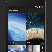 google-pixel-wallpapers-app-3