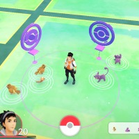 pidgey