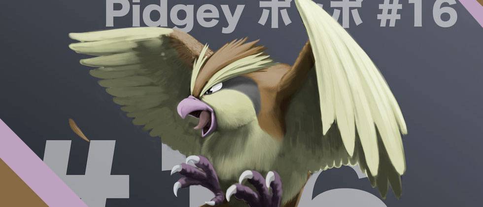 pidgey